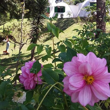 Pousada Igloo Campos do Jordão Екстериор снимка